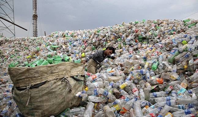 NGT told Delhi Government: Submit status report on plastic ban