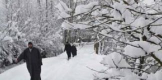 Jammu Kashmir snowfall: more than 70 stranded people were rescued