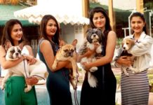 Jaipur to start two-day 'Jaipur Dog Show' on February 3